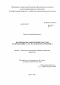 Гуров, Александр Валерьевич. Формирование эффективной системы распределения услуг на основе франчайзинга: дис. кандидат экономических наук: 08.00.05 - Экономика и управление народным хозяйством: теория управления экономическими системами; макроэкономика; экономика, организация и управление предприятиями, отраслями, комплексами; управление инновациями; региональная экономика; логистика; экономика труда. Орел. 2011. 157 с.