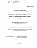 Воронина, Евгения Васильевна. Формирование эффективной структуры капитала корпораций нефтегазового комплекса: дис. кандидат экономических наук: 08.00.05 - Экономика и управление народным хозяйством: теория управления экономическими системами; макроэкономика; экономика, организация и управление предприятиями, отраслями, комплексами; управление инновациями; региональная экономика; логистика; экономика труда. Сургут. 2004. 201 с.