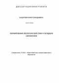 Шадаров, Баир Геннадьевич. Формирование экологической этики у младших школьников: дис. кандидат наук: 13.00.01 - Общая педагогика, история педагогики и образования. Улан-Удэ. 2013. 197 с.