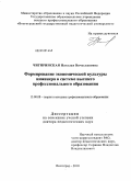 Чигиринская, Наталья Вячеславовна. Формирование экономической культуры инженера в системе высшего профессионального образования: дис. доктор педагогических наук: 13.00.08 - Теория и методика профессионального образования. Волгоград. 2010. 355 с.