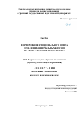 Фан Или. Формирование эмоционального опыта обучающихся начальных классов на уроках музыки в школах Китая: дис. кандидат наук: 00.00.00 - Другие cпециальности. ФГБОУ ВО «Уральский государственный педагогический университет». 2023. 152 с.