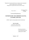 Саламатина, Юлия Валерьевна. Формирование эмпатийной культуры будущих учителей: дис. кандидат наук: 13.00.08 - Теория и методика профессионального образования. Шадринск. 2014. 214 с.