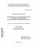 Милованова, Елена Сергеевна. Формирование этнокультурной компетентности бакалавров социальной работы в процессе профессиональной подготовки в вузе: дис. кандидат педагогических наук: 13.00.08 - Теория и методика профессионального образования. Ставрополь. 2011. 189 с.