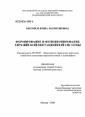 Ивахнюк, Ирина Валентиновна. Формирование и функционирование Евразийской миграционной системы: дис. доктор экономических наук: 08.00.05 - Экономика и управление народным хозяйством: теория управления экономическими системами; макроэкономика; экономика, организация и управление предприятиями, отраслями, комплексами; управление инновациями; региональная экономика; логистика; экономика труда. Москва. 2008. 389 с.