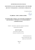 Чудинова Лариса Николаевна. Формирование и оценка системы инвестиционного обеспечения устойчивого сбалансированного развития региона: дис. кандидат наук: 08.00.05 - Экономика и управление народным хозяйством: теория управления экономическими системами; макроэкономика; экономика, организация и управление предприятиями, отраслями, комплексами; управление инновациями; региональная экономика; логистика; экономика труда. ФГБОУ ВО «Воронежский государственный университет». 2016. 248 с.