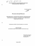 Милованов, Дмитрий Иванович. Формирование и перспективы развития муниципальной статистики: На примере муниципальных образований Саратовской области: дис. кандидат экономических наук: 08.00.12 - Бухгалтерский учет, статистика. Саратов. 2005. 163 с.