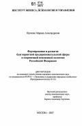 Юрченко, Марина Александровна. Формирование и развитие благоприятной предпринимательской сферы в современной пенсионной политике Российской Федерации: дис. кандидат экономических наук: 08.00.05 - Экономика и управление народным хозяйством: теория управления экономическими системами; макроэкономика; экономика, организация и управление предприятиями, отраслями, комплексами; управление инновациями; региональная экономика; логистика; экономика труда. Москва. 2007. 162 с.