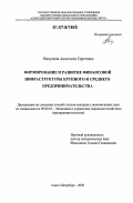 Никулина, Анастасия Сергеевна. Формирование и развитие финансовой инфраструктуры крупного и среднего предпринимательства: дис. кандидат экономических наук: 08.00.05 - Экономика и управление народным хозяйством: теория управления экономическими системами; макроэкономика; экономика, организация и управление предприятиями, отраслями, комплексами; управление инновациями; региональная экономика; логистика; экономика труда. Санкт-Петербург. 2006. 210 с.