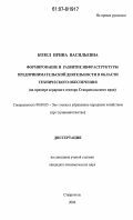 Козел, Ирина Васильевна. Формирование и развитие инфраструктуры предпринимательской деятельности в области технического обеспечения: на примере аграрного сектора Ставропольского края: дис. кандидат экономических наук: 08.00.05 - Экономика и управление народным хозяйством: теория управления экономическими системами; макроэкономика; экономика, организация и управление предприятиями, отраслями, комплексами; управление инновациями; региональная экономика; логистика; экономика труда. Ставрополь. 2006. 164 с.