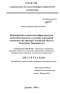 Исоков, Анваржон Абдуманнонович. Формирование и развитие инфраструктуры розничной торговли в условиях переходной экономики: на примере Согдийской области Республики Таджикистан: дис. кандидат экономических наук: 08.00.05 - Экономика и управление народным хозяйством: теория управления экономическими системами; макроэкономика; экономика, организация и управление предприятиями, отраслями, комплексами; управление инновациями; региональная экономика; логистика; экономика труда. Душанбе. 2006. 151 с.