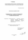 Горбачев, Владимир Лукич. Формирование и развитие промышленно-телекоммуникационного комплекса: теория и методология: дис. доктор экономических наук: 08.00.05 - Экономика и управление народным хозяйством: теория управления экономическими системами; макроэкономика; экономика, организация и управление предприятиями, отраслями, комплексами; управление инновациями; региональная экономика; логистика; экономика труда. Санкт-Петербург. 2005. 339 с.