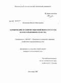 Калмыкова, Виолетта Викторовна. Формирование и развитие рыночной инфраструктуры малого предпринимательства: дис. кандидат экономических наук: 08.00.05 - Экономика и управление народным хозяйством: теория управления экономическими системами; макроэкономика; экономика, организация и управление предприятиями, отраслями, комплексами; управление инновациями; региональная экономика; логистика; экономика труда. Волгоград. 2009. 180 с.