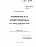 Богомолов, Сергей Петрович. Формирование и развитие системы инфраструктурного обеспечения предпринимательской деятельности: На материалах Ставропольского края: дис. кандидат экономических наук: 08.00.05 - Экономика и управление народным хозяйством: теория управления экономическими системами; макроэкономика; экономика, организация и управление предприятиями, отраслями, комплексами; управление инновациями; региональная экономика; логистика; экономика труда. Ставрополь. 2004. 184 с.