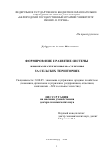 Добрунова Алина Ивановна. Формирование и развитие системы жизнеобеспечения населения на сельских территориях: дис. доктор наук: 08.00.05 - Экономика и управление народным хозяйством: теория управления экономическими системами; макроэкономика; экономика, организация и управление предприятиями, отраслями, комплексами; управление инновациями; региональная экономика; логистика; экономика труда. ФГБОУ ВО «Воронежский государственный аграрный университет имени императора Петра I». 2021. 390 с.