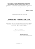 Кусмагамбетова Кусмагамбетова Сергеевна. Формирование и развитие социальной инфраструктуры на сельских территориях: дис. кандидат наук: 08.00.05 - Экономика и управление народным хозяйством: теория управления экономическими системами; макроэкономика; экономика, организация и управление предприятиями, отраслями, комплексами; управление инновациями; региональная экономика; логистика; экономика труда. ФГБОУ ВО «Воронежский государственный аграрный университет имени императора Петра I». 2017. 189 с.