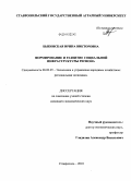 Быковская, Ирина Викторовна. Формирование и развитие социальной инфраструктуры региона: дис. кандидат экономических наук: 08.00.05 - Экономика и управление народным хозяйством: теория управления экономическими системами; макроэкономика; экономика, организация и управление предприятиями, отраслями, комплексами; управление инновациями; региональная экономика; логистика; экономика труда. Ставрополь. 2010. 197 с.