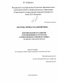 Петрова, Ирина Владимировна. Формирование и развитие торговой инфраструктуры агропродовольственного рынка: на примере Саратовской области: дис. кандидат экономических наук: 08.00.05 - Экономика и управление народным хозяйством: теория управления экономическими системами; макроэкономика; экономика, организация и управление предприятиями, отраслями, комплексами; управление инновациями; региональная экономика; логистика; экономика труда. Саратов. 2012. 178 с.