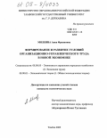 Мялкина, Анна Франковна. Формирование и развитие условий организационно-управленческого труда в новой экономике: дис. кандидат экономических наук: 08.00.05 - Экономика и управление народным хозяйством: теория управления экономическими системами; макроэкономика; экономика, организация и управление предприятиями, отраслями, комплексами; управление инновациями; региональная экономика; логистика; экономика труда. Тамбов. 2005. 206 с.