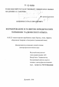 Шокиров, Туграл Сироджович. Формирование и развитие юридических терминов таджикского языка: дис. кандидат наук: 10.02.22 - Языки народов зарубежных стран Азии, Африки, аборигенов Америки и Австралии. Душанбе. 2011. 341 с.