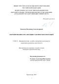 Завьялов Владимир Александрович. Формирование и реализация тактических операций: дис. кандидат наук: 12.00.12 - Финансовое право; бюджетное право; налоговое право; банковское право; валютно-правовое регулирование; правовое регулирование выпуска и обращения ценных бумаг; правовые основы аудиторской деятельности. ФГБОУ ВО «Кубанский государственный аграрный университет имени И.Т. Трубилина». 2021. 273 с.