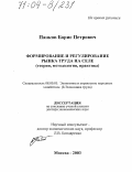 Панков, Борис Петрович. Формирование и регулирование рынка труда на селе: Теория, методология, практика: дис. доктор экономических наук: 08.00.05 - Экономика и управление народным хозяйством: теория управления экономическими системами; макроэкономика; экономика, организация и управление предприятиями, отраслями, комплексами; управление инновациями; региональная экономика; логистика; экономика труда. Москва. 2003. 274 с.