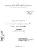 Орлова, Анастасия Андреевна. Формирование инфраструктуры наноиндустрии РФ: дис. кандидат экономических наук: 08.00.01 - Экономическая теория. Волгоград. 2013. 218 с.