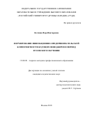 Колчина Вера Викторовна. Формирование инновационно-предпринимательской компетентности будущих менеджеров в период вузовского обучения: дис. кандидат наук: 13.00.08 - Теория и методика профессионального образования. ГАОУ ВО ЛО «Ленинградский государственный университет имени А.С. Пушкина». 2018. 168 с.