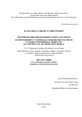 Волканова Елизавета Викторовна. Формирование иноязычной этнокультурной компетенции у старшеклассников посредством художественной наглядности (на материале английского языка): дис. кандидат наук: 00.00.00 - Другие cпециальности. ФГБОУ ВО «Российский государственный педагогический университет им. А.И. Герцена». 2023. 282 с.