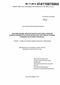 Белозерова, Наталия Владимировна. Формирование иноязычной коммуникативной компетенции курсантов вузов МЧС России на основе социокультурного подхода: дис. кандидат наук: 13.00.08 - Теория и методика профессионального образования. Санкт-Петербург. 2014. 213 с.