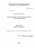 Климанов, Руслан Игоревич. Формирование инструментария оптимальной структуры инвестиций: дис. кандидат экономических наук: 08.00.10 - Финансы, денежное обращение и кредит. Москва. 2011. 154 с.