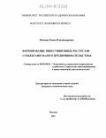 Кичина, Елена Владимировна. Формирование инвестиционных ресурсов субъектами малого предпринимательства: дис. кандидат экономических наук: 08.00.05 - Экономика и управление народным хозяйством: теория управления экономическими системами; макроэкономика; экономика, организация и управление предприятиями, отраслями, комплексами; управление инновациями; региональная экономика; логистика; экономика труда. Москва. 2004. 177 с.