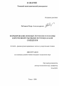 Рябчиков, Игорь Александрович. Формирование ионных потоков из плазмы короткоимпульсными потенциалами смещения: дис. кандидат технических наук: 01.04.20 - Физика пучков заряженных частиц и ускорительная техника. Томск. 2006. 149 с.