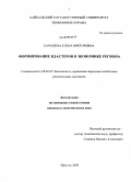 Барашева, Елена Викторовна. Формирование кластеров в экономике региона: дис. кандидат экономических наук: 08.00.05 - Экономика и управление народным хозяйством: теория управления экономическими системами; макроэкономика; экономика, организация и управление предприятиями, отраслями, комплексами; управление инновациями; региональная экономика; логистика; экономика труда. Иркутск. 2009. 189 с.