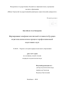 Бисембаева Асем Кумаровна. Формирование конфликтологической готовности будущих педагогов-психологов в процессе профессиональной подготовки в вузе: дис. кандидат наук: 13.00.08 - Теория и методика профессионального образования. ФГБОУ ВО «Магнитогорский государственный технический университет им. Г.И. Носова». 2020. 233 с.