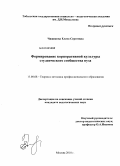 Чижикова, Елена Сергеевна. Формирование корпоративной культуры студенческого сообщества вуза: дис. кандидат педагогических наук: 13.00.08 - Теория и методика профессионального образования. Москва. 2010. 230 с.