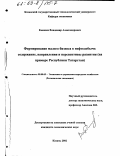 Емекеев, Владимир Александрович. Формирование малого бизнеса в нефтедобыче: содержание, направления и перспективы развития: На примере Республики Татарстан: дис. кандидат экономических наук: 08.00.05 - Экономика и управление народным хозяйством: теория управления экономическими системами; макроэкономика; экономика, организация и управление предприятиями, отраслями, комплексами; управление инновациями; региональная экономика; логистика; экономика труда. Казань. 2002. 151 с.