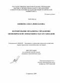 Шевцова, Ольга Николаевна. Формирование механизма управления экономической эффективностью организации: дис. кандидат экономических наук: 08.00.05 - Экономика и управление народным хозяйством: теория управления экономическими системами; макроэкономика; экономика, организация и управление предприятиями, отраслями, комплексами; управление инновациями; региональная экономика; логистика; экономика труда. Ставрополь. 2009. 205 с.