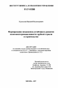 Курнышев, Василий Владимирович. Формирование механизмов устойчивого развития экономики промышленности трубной отрасли в строительстве: дис. кандидат экономических наук: 08.00.05 - Экономика и управление народным хозяйством: теория управления экономическими системами; макроэкономика; экономика, организация и управление предприятиями, отраслями, комплексами; управление инновациями; региональная экономика; логистика; экономика труда. Москва. 2007. 126 с.