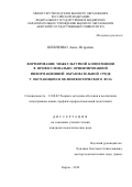 Шевченко Анна Игоревна. Формирование межкультурной компетенции в профессионально ориентированной информационной образовательной среде у обучающихся нелингвистического вуза: дис. кандидат наук: 13.00.02 - Теория и методика обучения и воспитания (по областям и уровням образования). ФГБОУ ВО «Нижегородский государственный лингвистический университет им. Н.А. Добролюбова». 2019. 216 с.