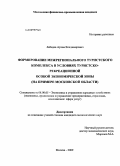 Лебедев, Артем Владимирович. Формирование межрегионального туристского комплекса в условиях туристско-рекреационной особой экономической зоны: на примере Московской области: дис. кандидат экономических наук: 08.00.05 - Экономика и управление народным хозяйством: теория управления экономическими системами; макроэкономика; экономика, организация и управление предприятиями, отраслями, комплексами; управление инновациями; региональная экономика; логистика; экономика труда. Москва. 2009. 208 с.