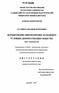 Хусайнов, Ахмаджон Курбонович. Формирование мировоззрения молодёжи в условиях демократизации общества: опыт Таджикистана: дис. кандидат политических наук: 23.00.02 - Политические институты, этнополитическая конфликтология, национальные и политические процессы и технологии. Душанбе. 2007. 169 с.