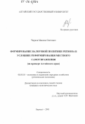 Чирков, Максим Олегович. Формирование налоговой политики региона в условиях реформирования местного самоуправления: На примере Алтайского края: дис. кандидат экономических наук: 08.00.05 - Экономика и управление народным хозяйством: теория управления экономическими системами; макроэкономика; экономика, организация и управление предприятиями, отраслями, комплексами; управление инновациями; региональная экономика; логистика; экономика труда. Барнаул. 2005. 198 с.