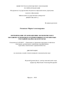 Латышева Мария Александровна. Формирование организационно-экономического механизма освоения малоэффективных золотоносных россыпей Забайкальского края: дис. кандидат наук: 08.00.05 - Экономика и управление народным хозяйством: теория управления экономическими системами; макроэкономика; экономика, организация и управление предприятиями, отраслями, комплексами; управление инновациями; региональная экономика; логистика; экономика труда. ФГБОУ ВО «Байкальский государственный университет». 2019. 191 с.