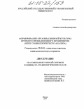 Савина, Алина Владимировна. Формирование организационной культуры крупного промышленного предприятия: Опыт социологического анализа: дис. кандидат социологических наук: 22.00.04 - Социальная структура, социальные институты и процессы. Москва. 2004. 120 с.