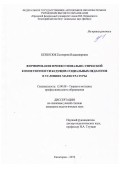 Безносюк Екатерина Владимировна. Формирование профессионально-этической компетентности будущих социальных педагогов в условиях магистратуры: дис. кандидат наук: 13.00.08 - Теория и методика профессионального образования. ФГБОУ ВО «Чеченский государственный педагогический университет». 2019. 314 с.