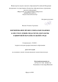 Моспан Татьяна Сергеевна. Формирование профессионально важных качеств будущих педагогов для работы в цифровой образовательной среде: дис. кандидат наук: 13.00.08 - Теория и методика профессионального образования. ФГБОУ ВО «Кемеровский государственный университет». 2020. 183 с.