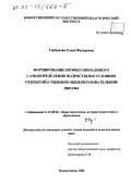 Горбунова, Елена Федоровна. Формирование профессионального самоопределения подростков в условиях открытой (сменной) общеобразовательной школы: дис. кандидат педагогических наук: 13.00.01 - Общая педагогика, история педагогики и образования. Новокузнецк. 2002. 209 с.