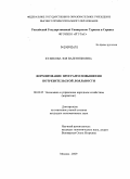 Куликова, Зоя Валентиновна. Формирование программ повышения потребительской лояльности: дис. кандидат экономических наук: 08.00.05 - Экономика и управление народным хозяйством: теория управления экономическими системами; макроэкономика; экономика, организация и управление предприятиями, отраслями, комплексами; управление инновациями; региональная экономика; логистика; экономика труда. Москва. 2009. 189 с.