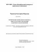 Чуракова, Екатерина Юрьевна. Формирование регионального комплекса инфраструктурного обеспечения поддержки малых предприятий: дис. кандидат экономических наук: 08.00.05 - Экономика и управление народным хозяйством: теория управления экономическими системами; макроэкономика; экономика, организация и управление предприятиями, отраслями, комплексами; управление инновациями; региональная экономика; логистика; экономика труда. Санкт-Петербург. 2012. 166 с.