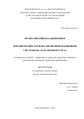 Франк Евгений Владимирович. Формирование региональной инновационной системы на базе опорного вуза: дис. доктор наук: 08.00.05 - Экономика и управление народным хозяйством: теория управления экономическими системами; макроэкономика; экономика, организация и управление предприятиями, отраслями, комплексами; управление инновациями; региональная экономика; логистика; экономика труда. ФГБОУ ВО «Санкт-Петербургский государственный экономический университет». 2021. 338 с.